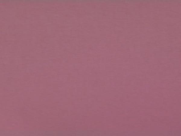 Carina 6744 - lila
