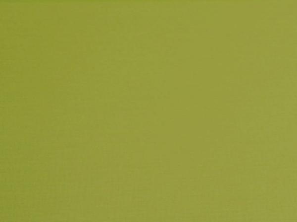 Eden 145 - lime