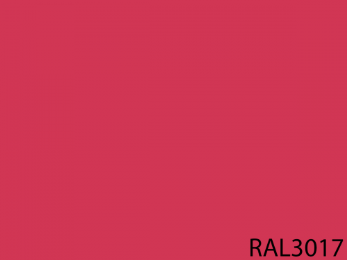 RAL 3017